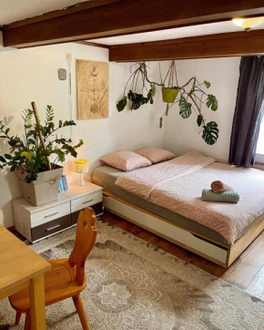 Cozy Room in an old Farmhouse near Vaduz